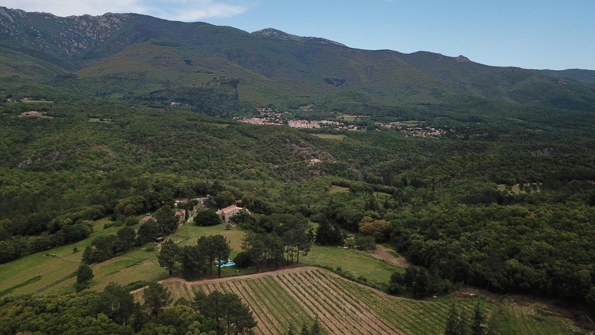 Mas Roquet Pension Maçanet de Cabrenys Buitenkant foto